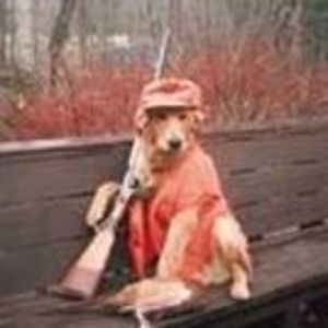 Meet your Posher, Edward